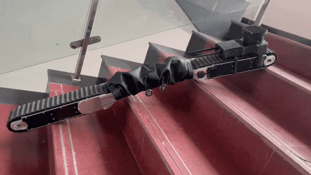 1739321596541554249C.gif 640 (1).gif